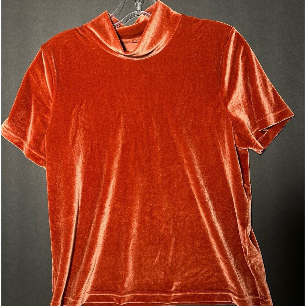 Madewell short sleeve velvet mock neck top